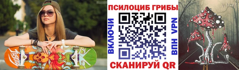 Псилоцибиновые грибы Cubensis Дрезна